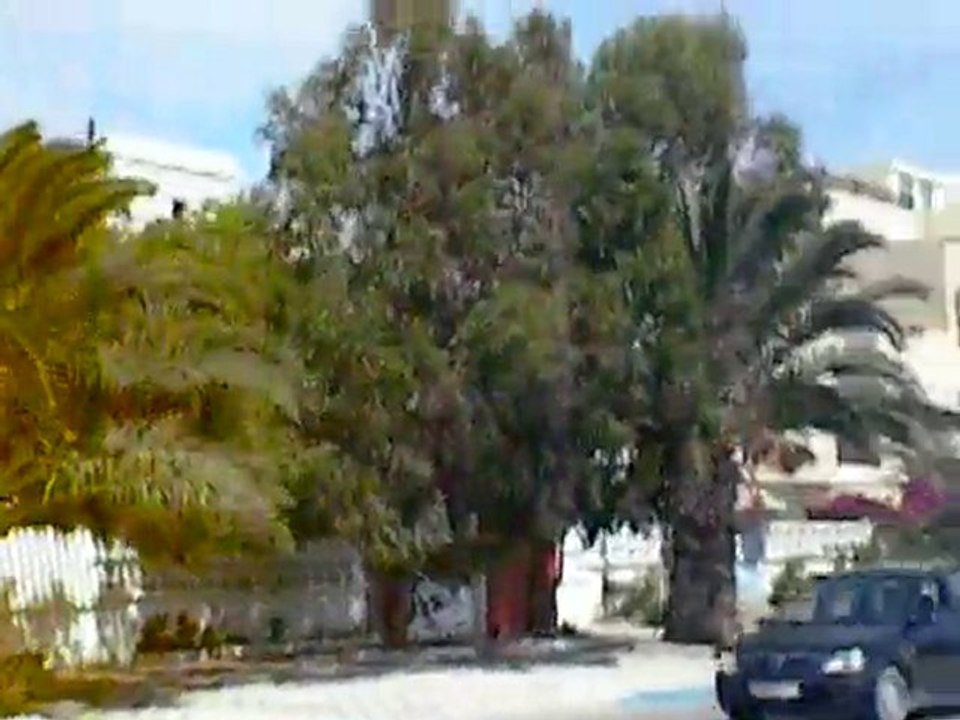 Essaouira en calèche
