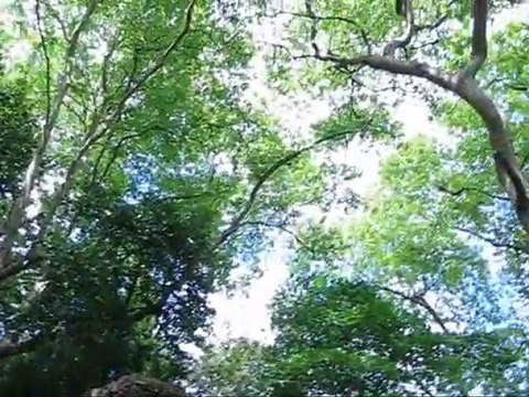 Capela do Castelo dos Mouros em Sintra - Ruínas