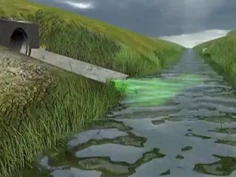 Broadcast Animation Studio NYC - TMBA