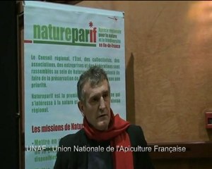 Les abeilles sentinelles de l'environnement