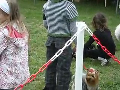 INES ET DOLCE VITA (CONCOURS JEUNES PRESENTATEURS)