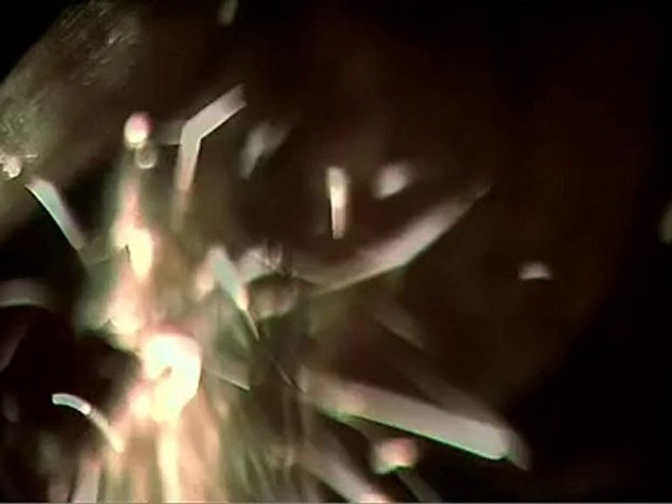 Squeal - Trailer