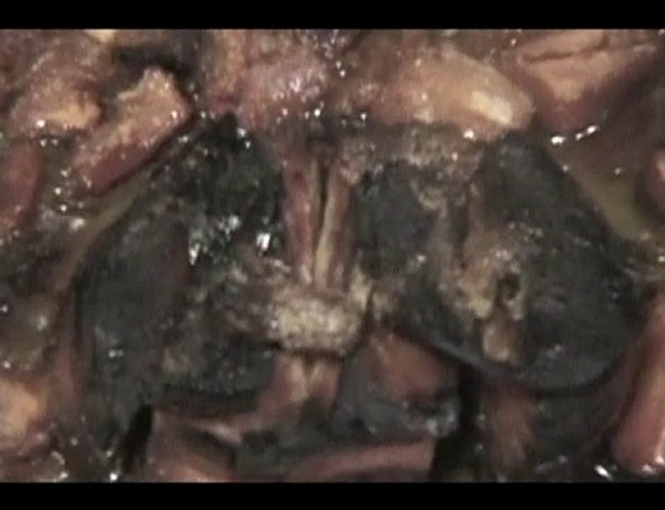 What Is  It?