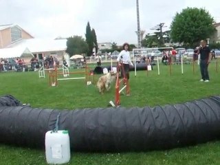 Maybe Jump IPAC 2010