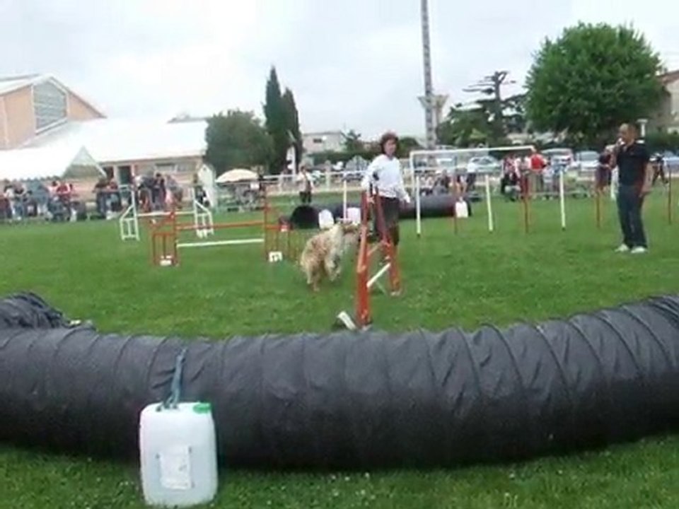 Maybe Jump IPAC 2010