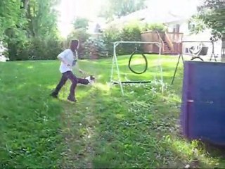 Mes Chiens Versatilles - My Versatilles Dogs