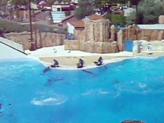 Arthur au parc Astérix : les dauphins_juin 2010