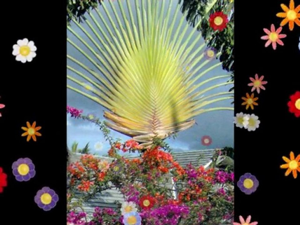 CHARLES BECARD CHANTE BOURVIL : SALADE DE FRUITS