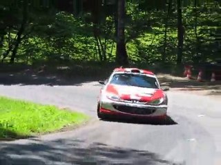 Rallye de la Luronne 2010 ES4