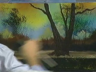 Bob Ross TV Series 2-32 on DVD-RD2514D Joy of Painting TV Se