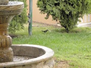 CONALEP AGUA PRIETA...Y LA NATURALEZA