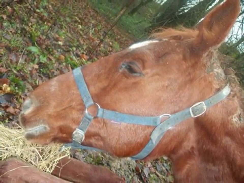 cool mon ange partie trop vite