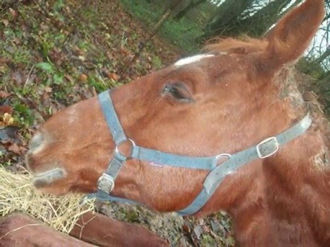 cool mon ange partie trop vite