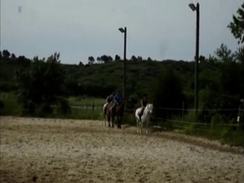 Dressage du 290610
