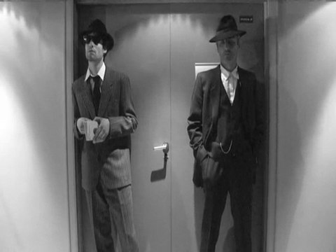 Pattes Blanches & Lunettes Noires (White Paws&Dark Glasses)