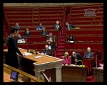Anne Grommerch - Assemblée Nationale - 18.02.2010