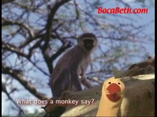 Children Learn Spanish Words with Animals from Africa