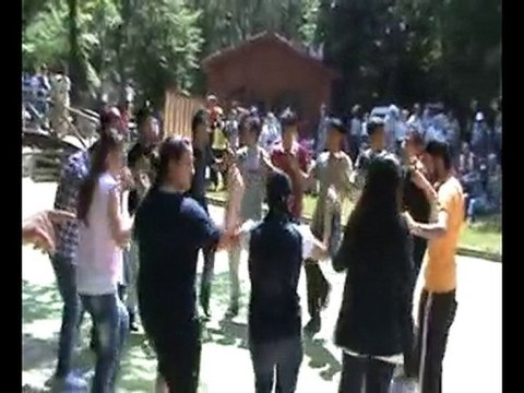 artvinliler pikniği 2010 akordiyon eşliğinde horon-3