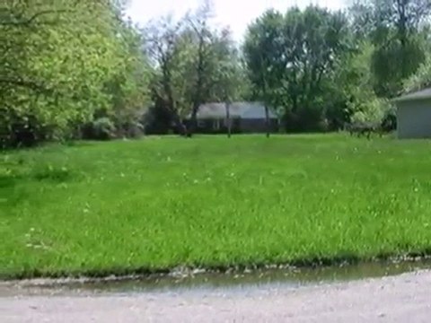 Homes for Sale - 15340 Afton Ave - Markham, IL 60428 - Coldw