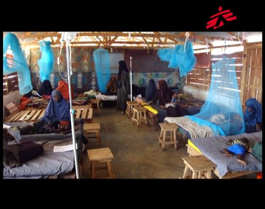 Somalie - Journal de l'Année 2009-2010