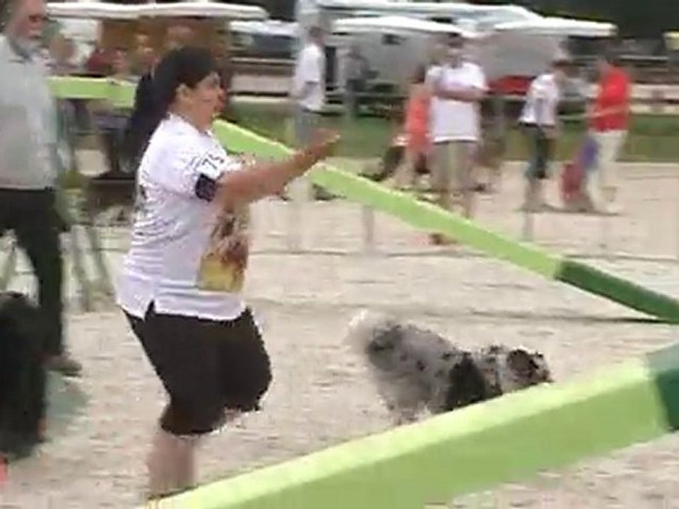 pat agility 2