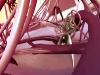 La Mirada Express | Copyright