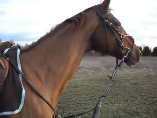 Naous&Cricri au galop