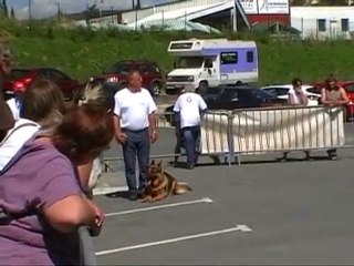 Gamm vert 2010 .....