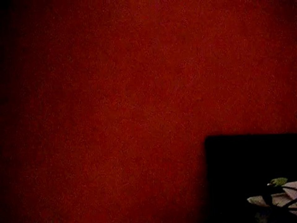 Non non non de Camélia Jordana - par moi