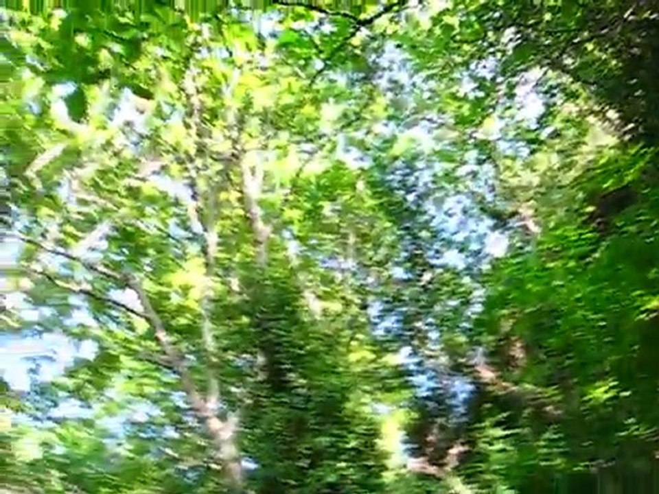 Ağlayankaya 360