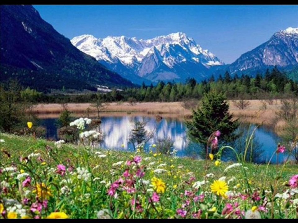 Illuminatis les rituels de sang 1/2