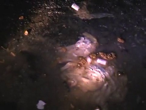 Plombières les Bains - ville d'eaux usées - direct Nature