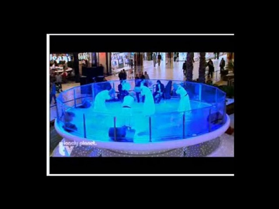 Başbakan RECEP TAYYİP ERDOĞAN'IN İSTANBUL ŞİİRİ