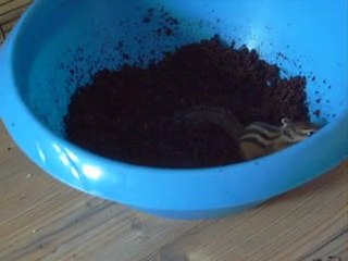 bain de terre taisha