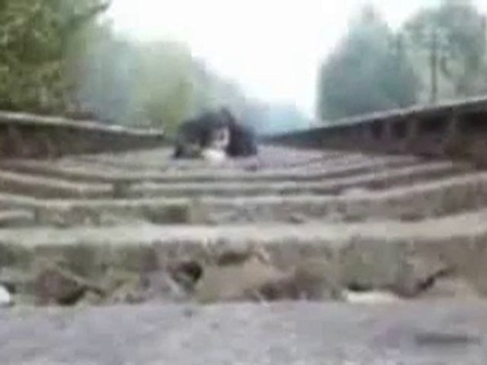 Kid Lays Down on Train Tracks