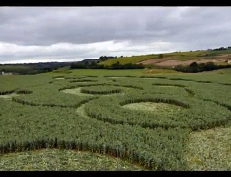 1er Crop Circle dans un champ de haricots 7 Juin 2010