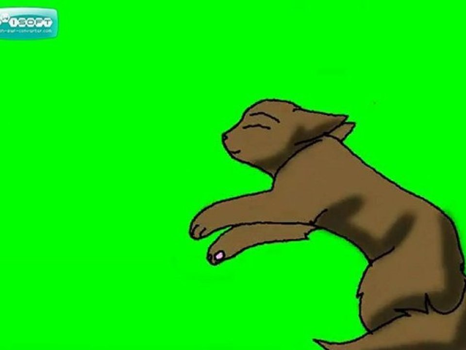 Test Video!