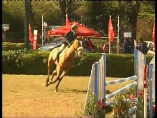 DVD magnus atlantida