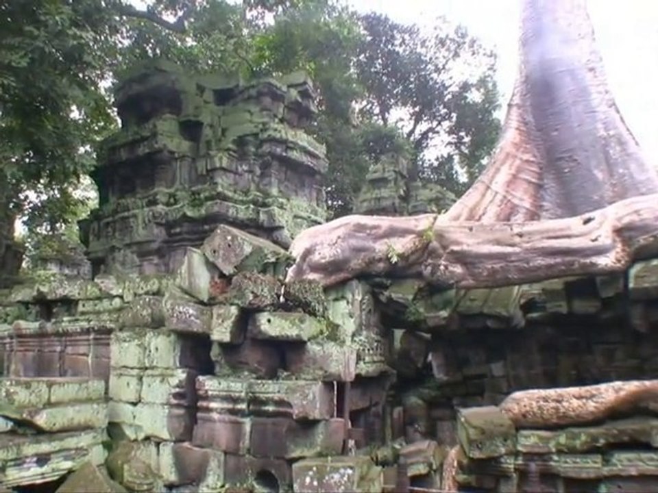 Viaje a Camboya 35 - Ta Prohm, el templo de las raíces