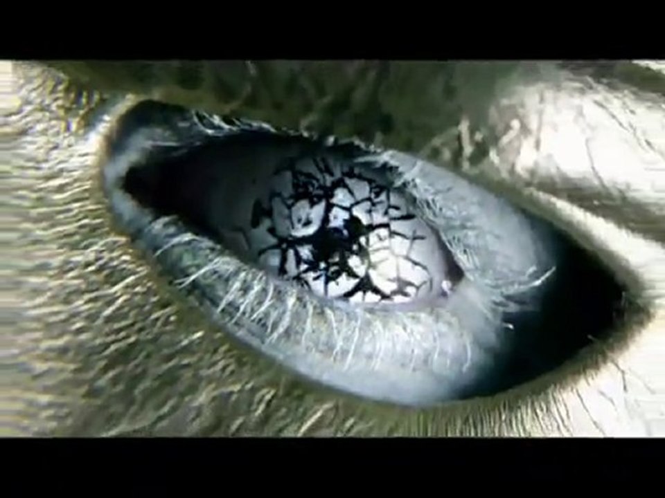 Clear Ice Arrows Dark and dandruff Adv