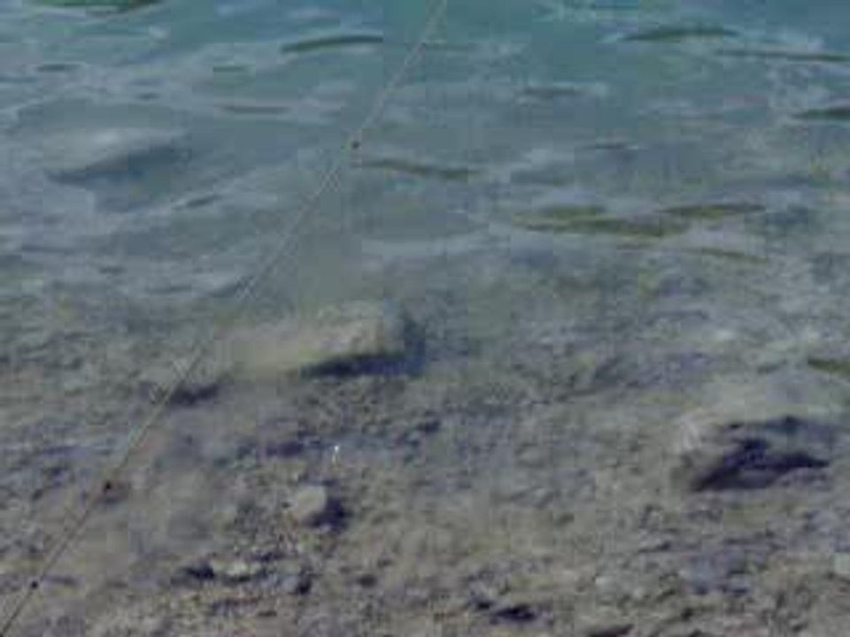 La baignade de Wako au Lac de Chalain