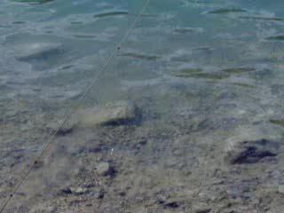 La baignade de Wako au Lac de Chalain