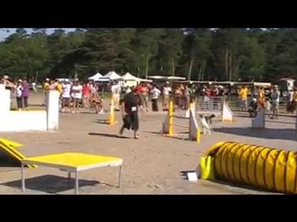 trophée scc 5 juin agility caya