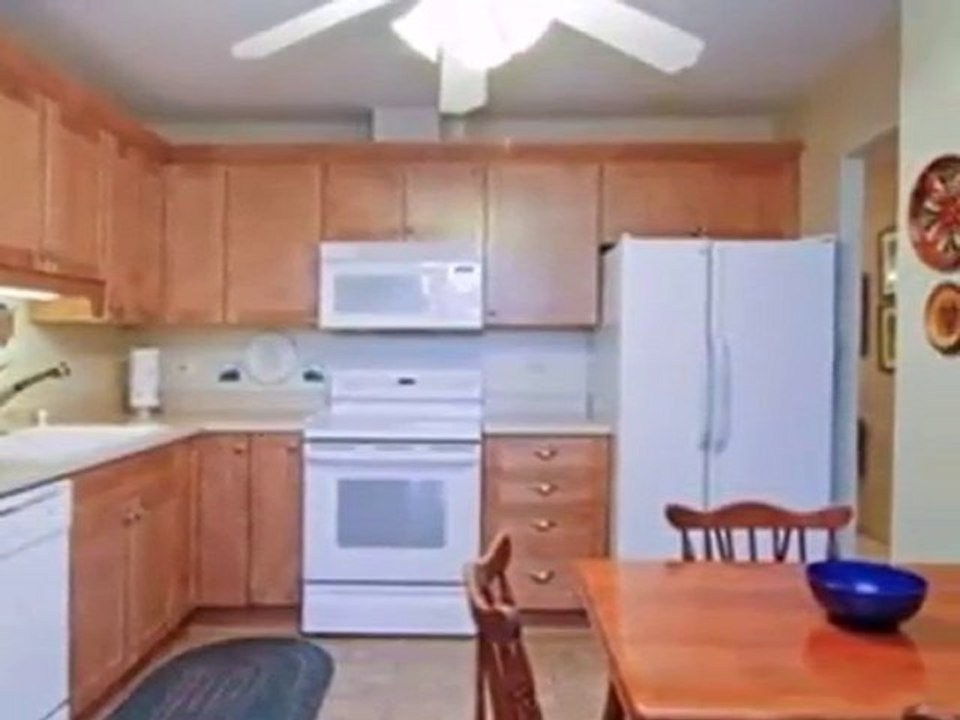 Homes for Sale - 123 Acacia Cir Apt 307 - Indian Head Park,