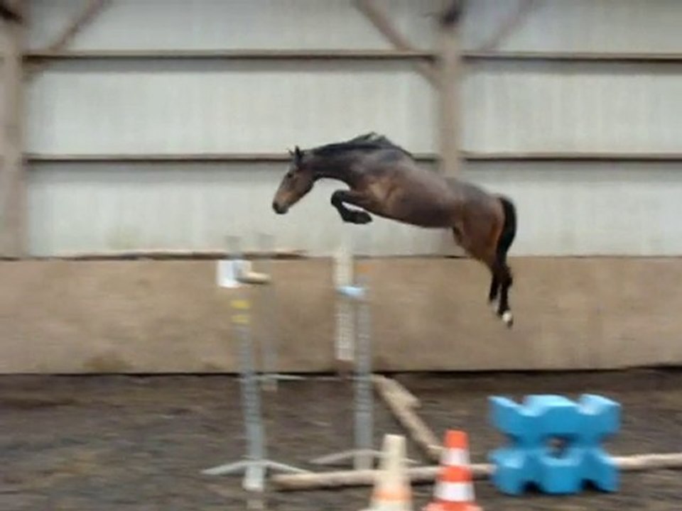 TREFLE MAD SAUT EN LIBERTE