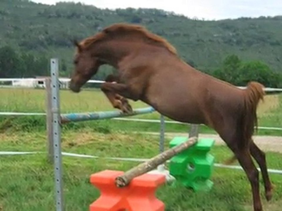 Kahlia Saut Lib O9/O6/2O1O