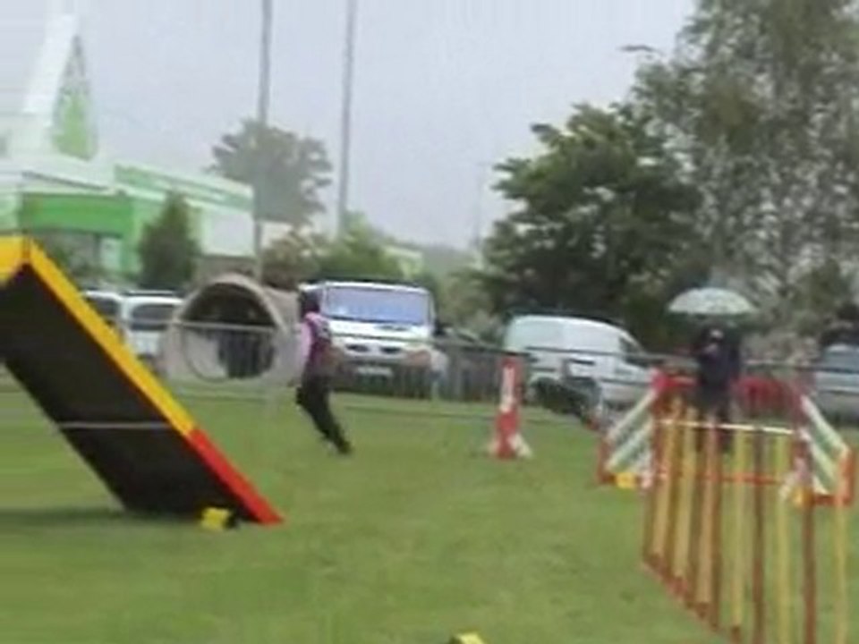 Concours Agililty Thoiry (01) le 30 mai 2010 épreuve OPEN