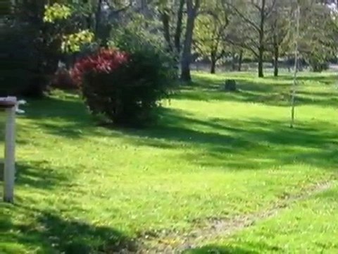 Homes for Sale - 3600 York Rd - Oak Brook, IL 60523 - Coldwe