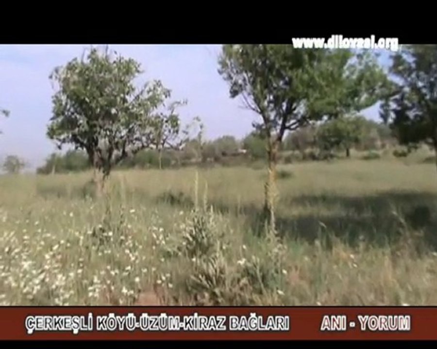 ANI - YORUM -- ÇERKEŞLİ KÖYÜ ZÜM - KİRAZ BAĞLARI