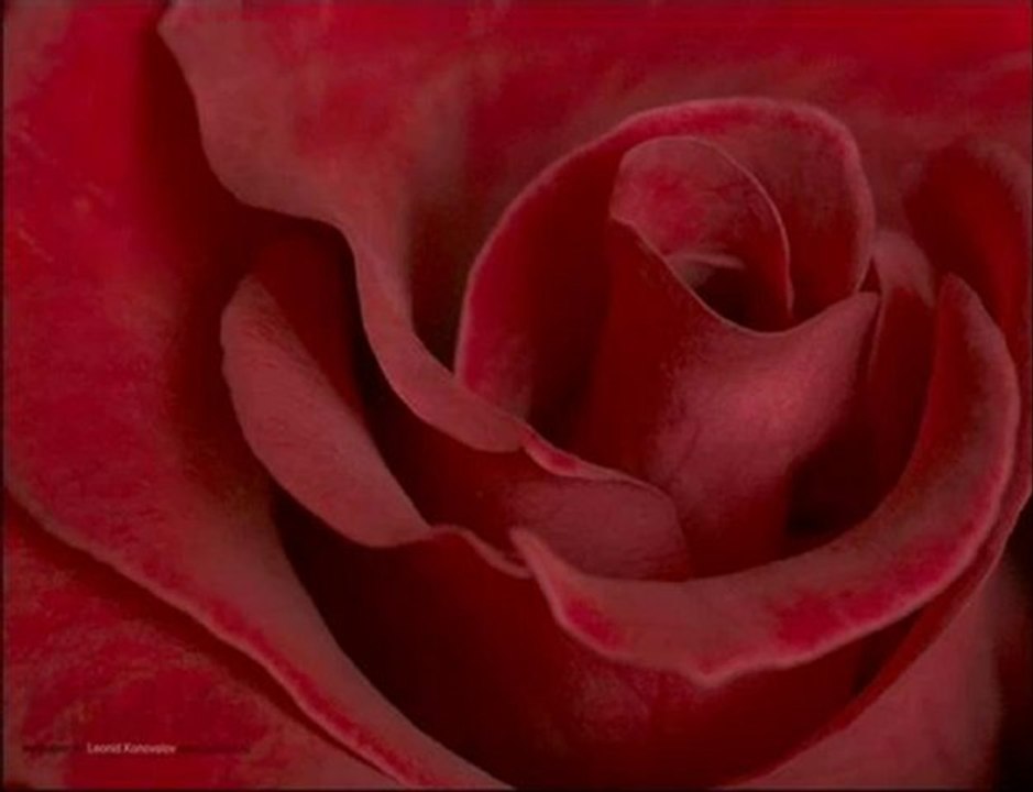 Grup Düş Gel Etme Gözlerim Yaşlarla Doldu Dodurgali20